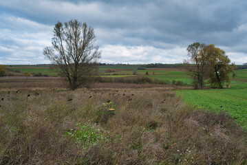 Obraz premium Landschaft mit herbstlichen Feldern und Wiesen