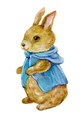 Rabbit Illustration Watercolor Hand Painting - 651504709