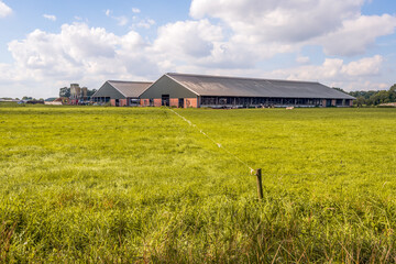 Fototapeta na wymiar Modern stable with cows in a Dutch polder landscape. In the foreground is a ditch and an electric fence. It is a beautiful day in the late summer season.