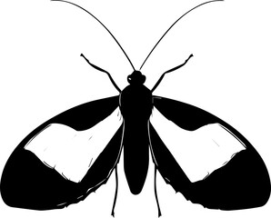 Achrioptera Manga icon 7