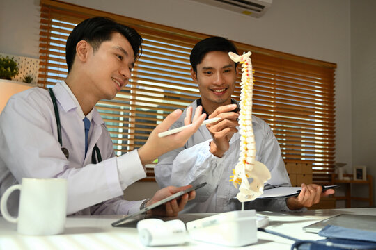 Two doctors pointing at the spine model