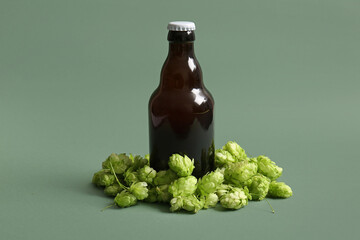 Fresh green hops and bottle of cold beer on color background