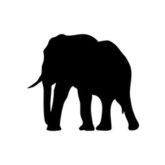 Elephant vector png