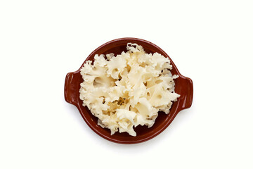 Cauliflower mushroom or cauliflower fungus