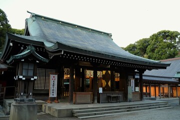 Fototapeta premium 氷川神社、埼玉、神社、日本、神道、秋、仏教、お参り、観光、初詣、参拝、お祈り、木、建物、野外、