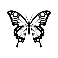 Butterfly silhouette Monarch Butterfly design hand drawn vector illustration