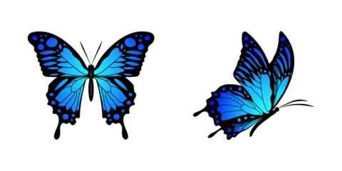 Fototapete Schmetterlinge Butterfly blue Set silhouette fly side view Monarch Butterfly design hand drawn vector illustration