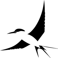 Elegant Tern icon 2