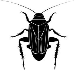 Dubia Cockroach icon 4