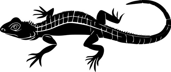 Draco Volans Lizard icon 6