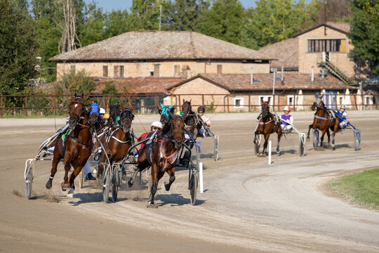 Racing horses trots and rider on a track of stadium. Competitions for trotting horse racing. Horses compete in harness racing. Horse runing at the track with rider.
