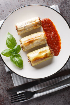 Leek cannelone stuffed with meat, rice and vegetables served with tomato sauce close-up in a plate on the table. Vertical top view from above