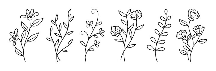 Vector set line art, botanical drawing, element design