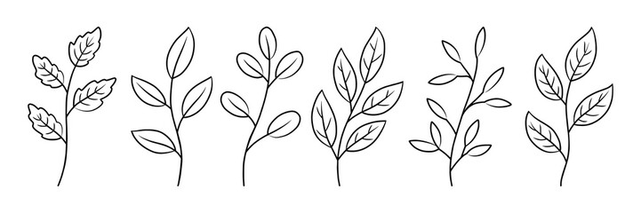 Vector set leaves element, with line art style