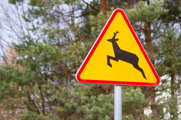 Road sign "wild animals" | Znak drogowy "zwierzęta dzikie"