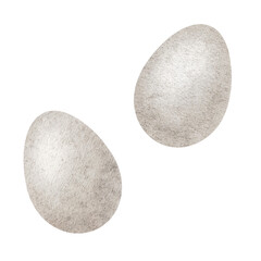 A couple of whole chicken eggs. Organic fresh eco food. Food ingredients for cooking and baking. Culinary clipart for food blogs, design of labels and packaging of goods, cards