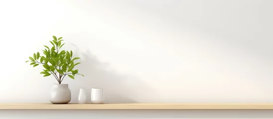Papier Peint photo Mur an interior wall mockup with a green tree branch in a vase on a shelf set against an empty white background with free space