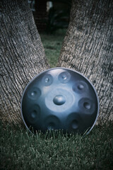 the handpan by the tree