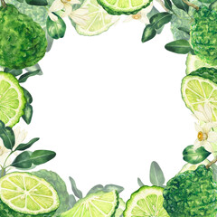 Watercolor bergamot illustration. Whole and sliced bergamot fruits, leaves and flowers. Hand drawn frame isolated on white background perfect for packaging, invitations. - obrazy, fototapety, plakaty