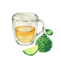 Watercolor illustration of glass cup of tasty bergamot tea and fresh fruits on white background