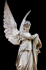 A warrior angel looks at the world