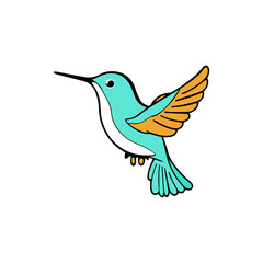 hummingbird, Colibri isolated on a white background. Vector illustration