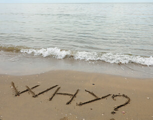 TEXT WHY with the question mark written on the sand by the sea ideal as an ending for presentations and FAQs