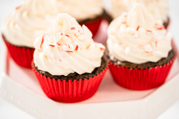 Chocolate peppermint cupcakes