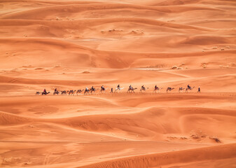 camel caravan in the Sahara desert