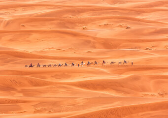 camel caravan in the Sahara desert