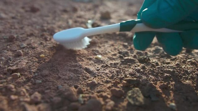 Male hands of archaeologists in gloves searching fossils or artifacts on object