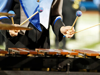 Musician playing the Xylophone