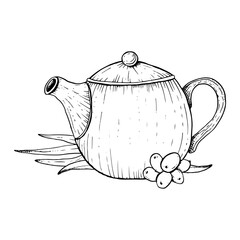 Teapot with sea buckthorn berries and leaves vector line illustration. Hippophae herbal organic tea black and white sketch