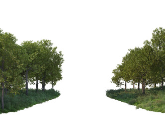 Obraz premium Forest with many trees and plants on transparent background