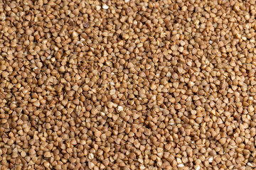 A large amount of roasted buckwheat harvest