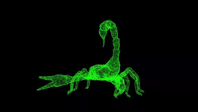 3D Scorpion rotates on black background. Dangerous animals concept. Poisonous scorpion. Business advertising backdrop. For title, text, presentation. 3d animation 60 FPS