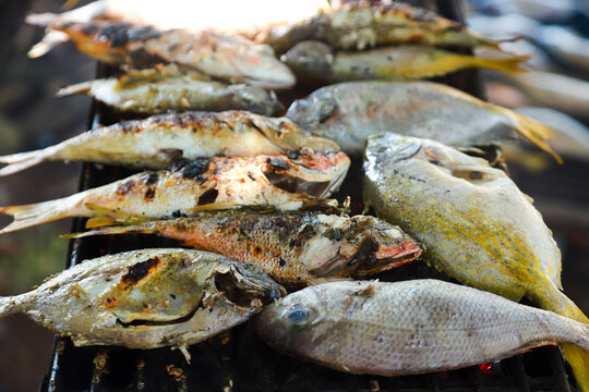 several fish of various types were grilled on a burning stove