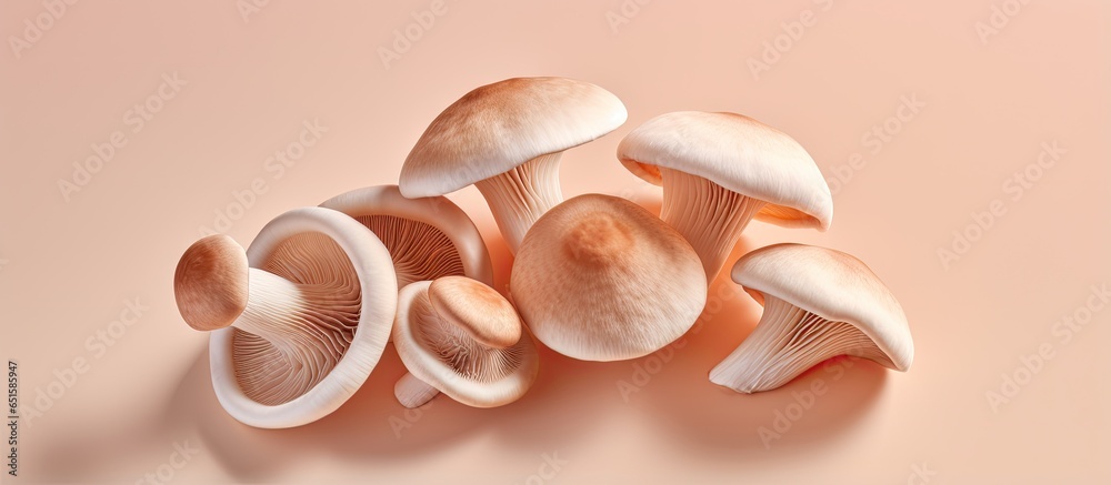 Poster Mushroom champignons shown on a isolated pastel background Copy space with Clipping Path
