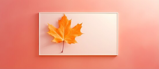 Maple leaf against a isolated pastel background Copy space