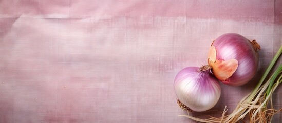 Holland onion sack isolated pastel background Copy space