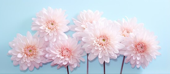 Mum isolated pastel background Copy space