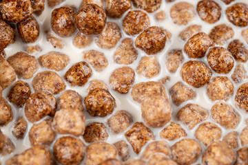 sweet and healthy chocolate balls with cow's milk