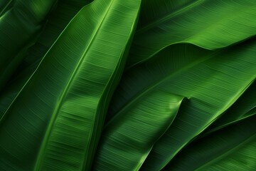 green leaf background, Generative AI, Generative AI