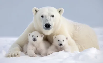 Schilderijen op glas Portrait of mother polar bear with her cute cubs in snow © giedriius