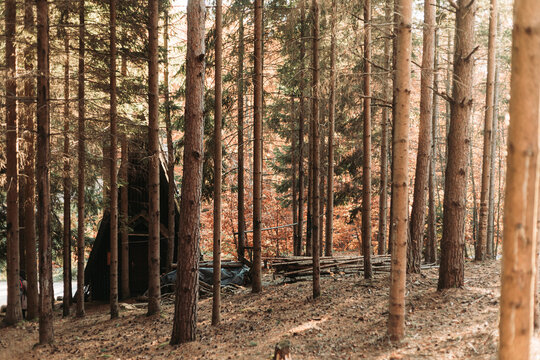 A frame wooden cabin in the mountain woods