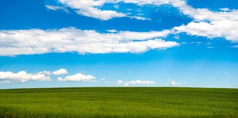 Fototapeta premium panoramic field view.