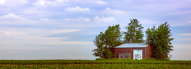 Shed surrounded by trees in the middle of a field © Russmcphee