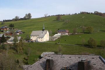 Landschaft im Schwarzwald in der nähe von Hofsgrund