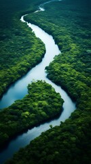 Naklejka na ściany i meble Top-down view of dark, serpentine rivers winding through a luminous rainforest canopy. generative AI