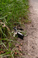 Lost bunch of keys on the side of the road